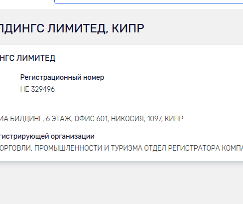 De pagina van rusprofile.ru voor de buitenlandse rechtspersoon: ТОНЕКО ХОЛДИНГС ЛИМИТЕД, land Cyprus, registratienummer НЕ 329496.